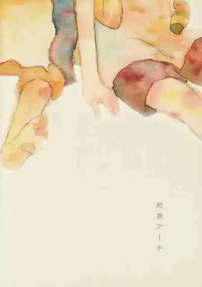 海の虹が沈む森