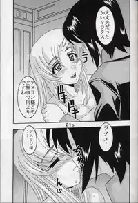 [St. Rio (Kitty, Kouenji Rei)] COSMIC BREED 5 (Gundam SEED DESTINY)