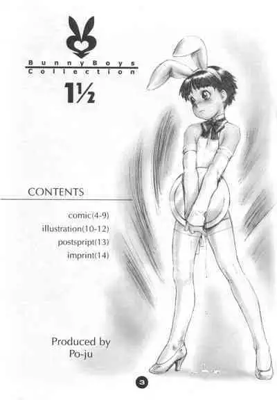 Bunny Boys Collection 1 1/2