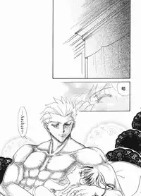 (C65) [Hanakaidou (Hanakaidou Yukio)] The Plastic Moon (Fate/stay night) [Chinese]