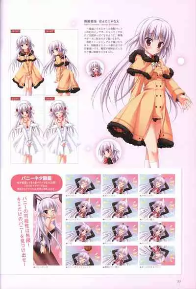 Hatsuyuki Sakura Visual Fanbook