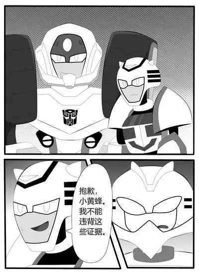 Transformers animated doujinshi《MISUNDERSTAND》beewasp R-18