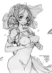 [Endou Okito] Elf no Yomeiri [Chinese] [無邪気漢化組]