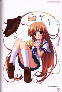 Shakkin Shimai＆Shakkin Shimai2 visual fanbook