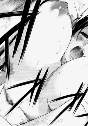 Netoraserare Vol.1-3