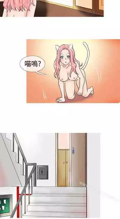 小野貓馴服手冊