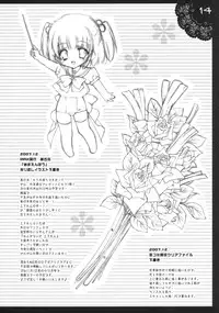 [Shigunyan] Shigukore 5 (Zero no Tsukaima)