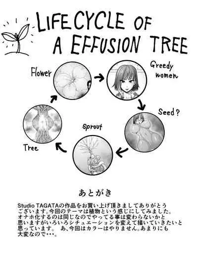 Dluminia Oukoku Monogatari "Hatsuro no Hanamitsu"