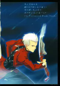 (C66) [Yaesaka (Yaesaka Satoru)] This Illusion (Fate/stay night)