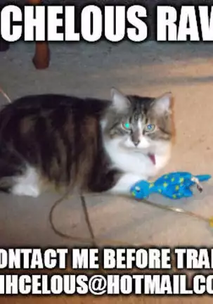 Kiryuu Kyousuke no Junan