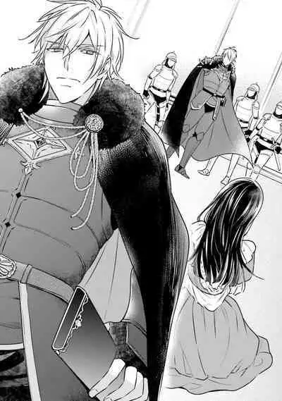 i sekai de migawari hime ni nari haō ni ubawa remashita ​| 在异世界成为了替身公主被霸王掳走了 1-6