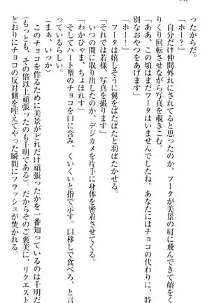 年上メイドの新婚日記