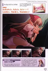 Shakkin Shimai＆Shakkin Shimai2 visual fanbook