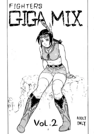 FIGHTERS GIGAMIX FGM Vol.2