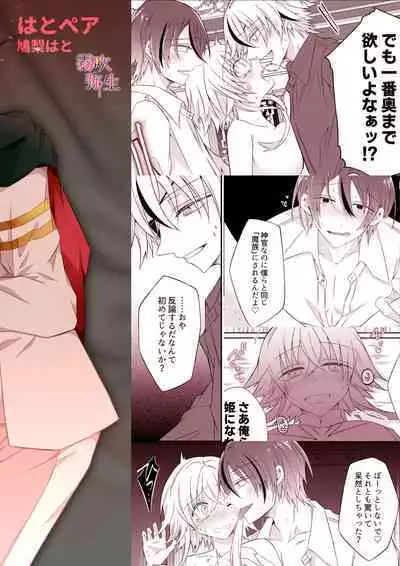 Dekiai Kei Yandere Kyoudai Ouji wa Itoshi no Shinkan Mazoku Ochi Sasetai | 溺愛係病嬌王子兄弟想讓心愛的神官墮落成魔族