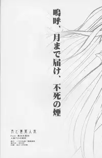 (C67) [Kurogane Dou (Narumi Yuki)] Tsuki to Hourai Ningyou (Touhou Project)