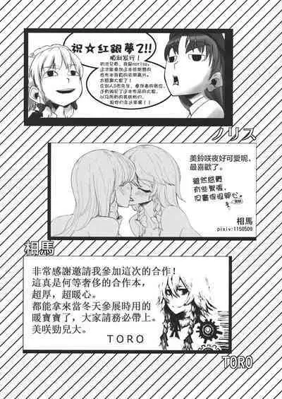 Touhou Kouginmu 2 | 東方紅銀夢2