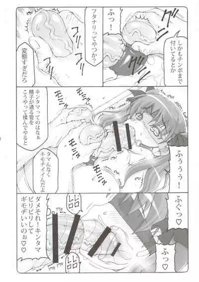 (C96) [Abarenbow Tengu (Izumi Yuujiro)] Kotori 16 (Fate/stay night)