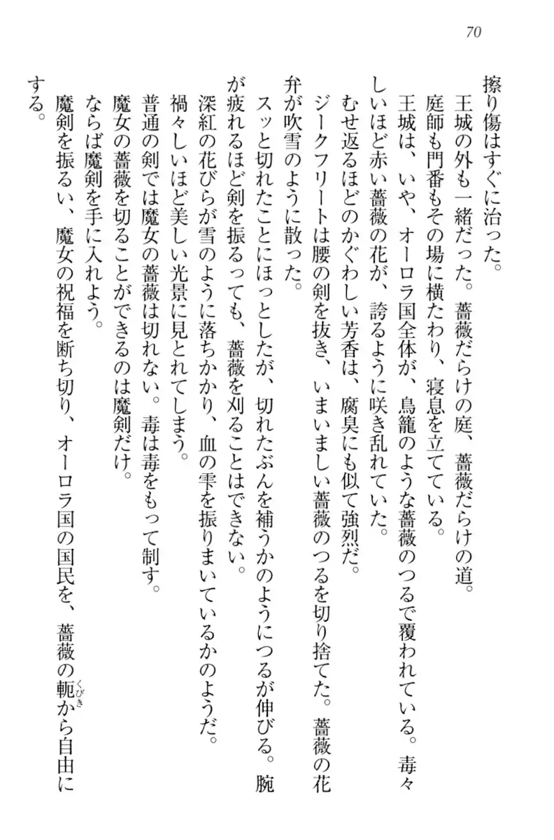 魔剣の魔メイドと魔の祝福