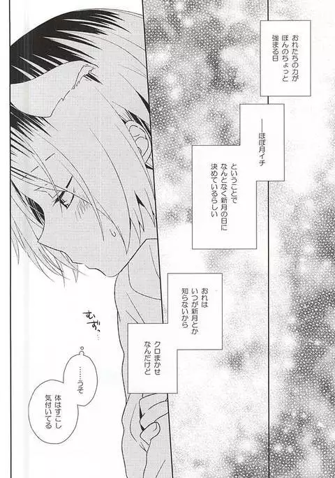 月イチ大感謝毛繕いデー