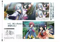 戦国†恋姫 ～乙女絢爛☆戦国絵巻～ ビジュアルファンブック-1