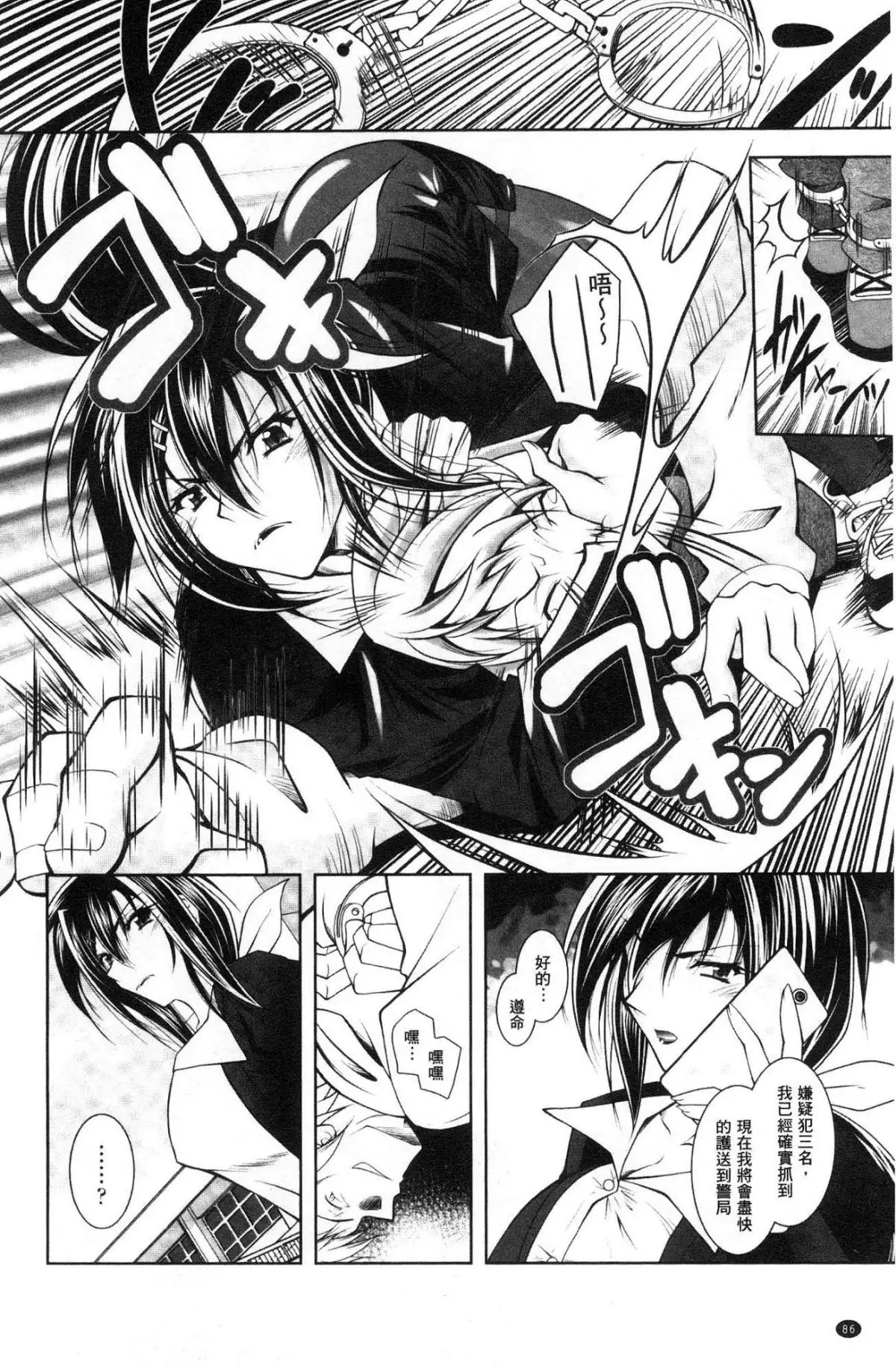 Fallen Justice -Seigi Shittsui-