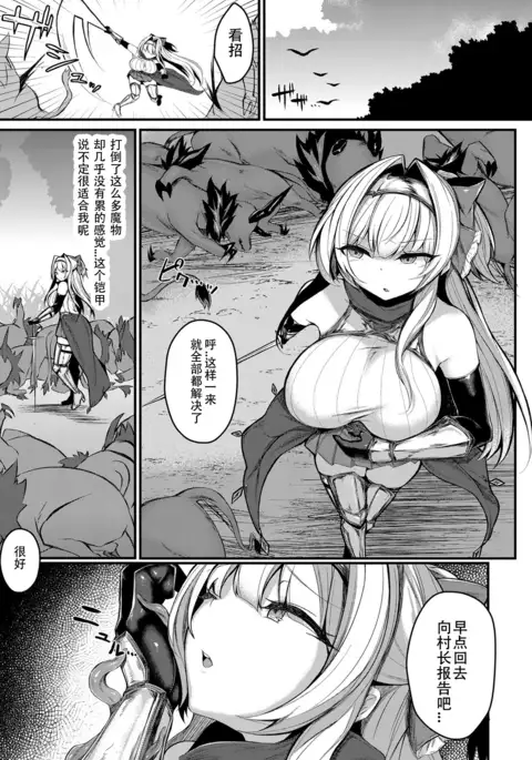 悦堕的姬骑士