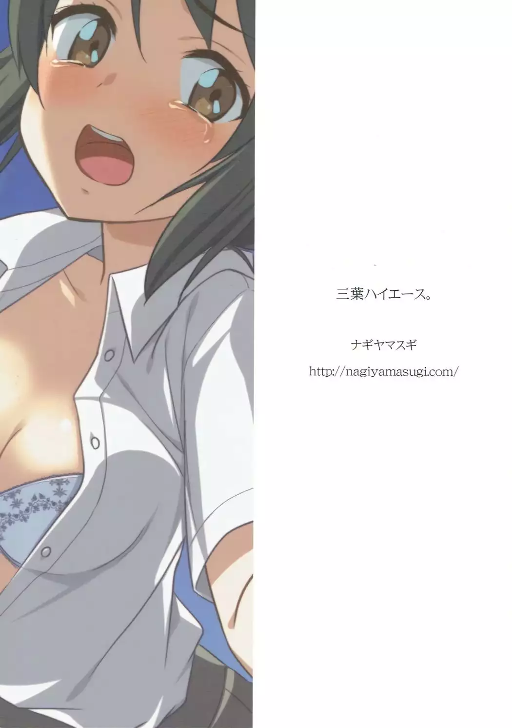 Mitsuha HiAce. | 미츠하 하이에스.