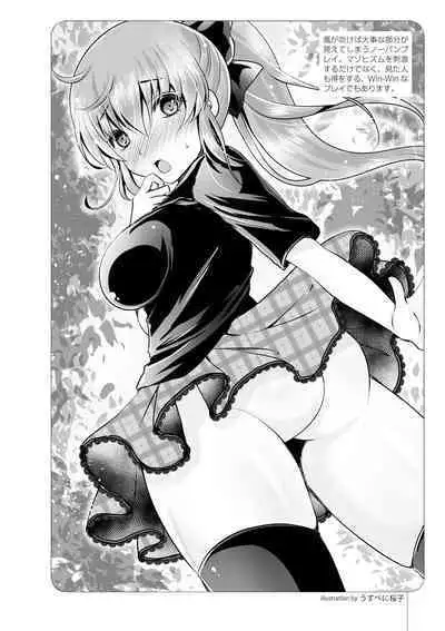 いますぐデキる 図説SMプレイマニュアル