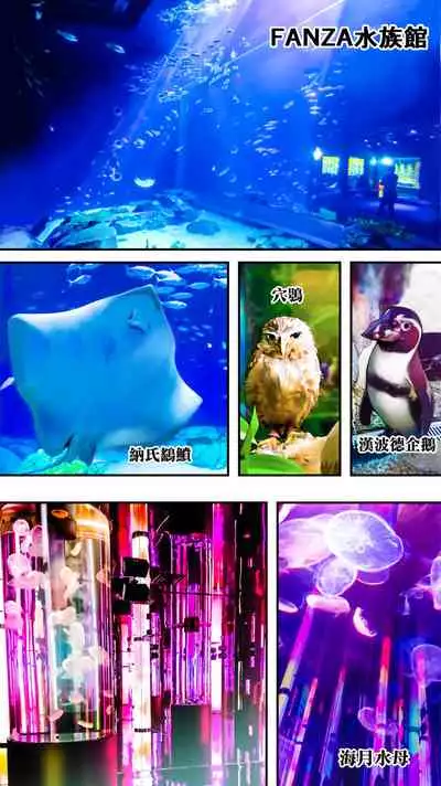 Panpan Travelers Okinawa Shuudan Rape Zumi Harem Hitoritabi Hen | 吃飯兼炒飯TRAVELERS 沖繩集團強姦