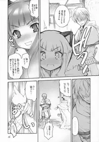 (C67) [Seinansei ni Kagayakeru Hoshi (Morino Papiko)] Ragnarok Yawa Level.5 (Ragnarok Online)