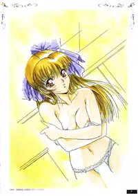 [PARADIGM] Art Pack 1 Kousoku Original Artworks