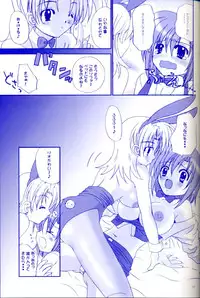 [Studio PAL (Hazuki Kaoru, Nanno Koto)] Rio Premium (Super Black Jack)