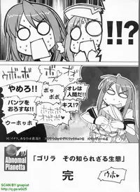 BugBug 2008-11 Vol. 171