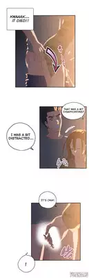 [Husky guy] SStudy Ch.0-37 (English) (YoManga) (Ongoing)