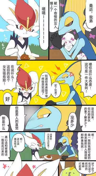 |宝可梦的故事（呜鸟木个人汉化组）