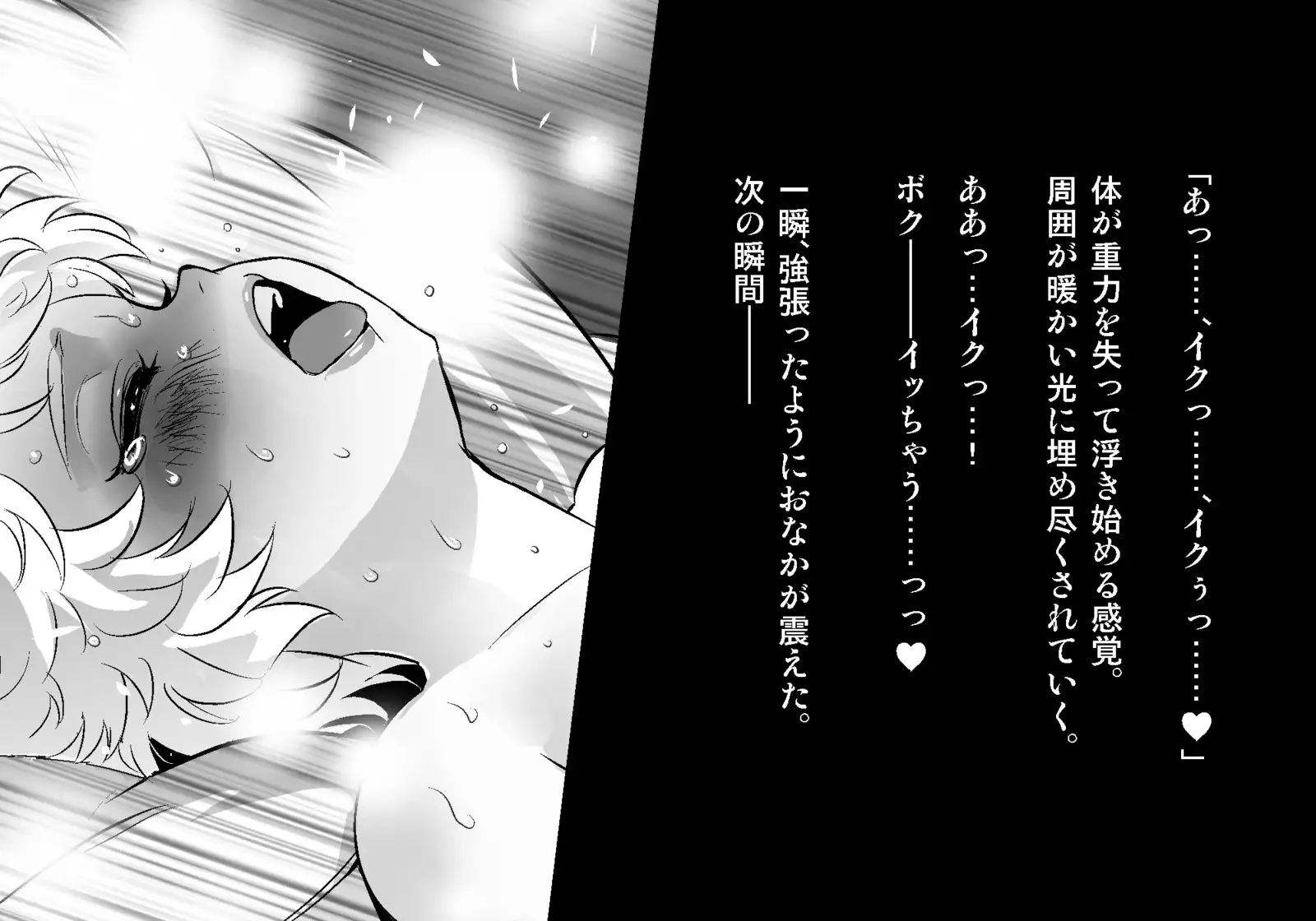 フェアリーセティ