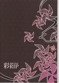 (C89) [IrodoRIP (Ayato Ayari)] Shounen Ninja Koushoku Kitan (Ragnarok Online) [Chinese] [瑞树汉化组]