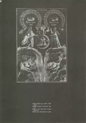 Dying Flower Cemetery