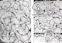 [OKTM (Sasizume Soutarou)] SZOK ~Awaatama Kangoshi (Hoka) to Derodero Kondaku Sex~ (Silent Hill) [Chinese] [鬼畜王汉化组]