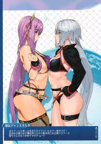 FGO Illust Matome Hon