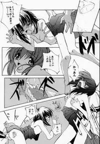 (CR28) [RYU-SEKI-DO (Nagare Hyo-go)] Geschwister (Sister Princess)