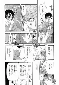 [Shiira Sara] LOVE & PEACE