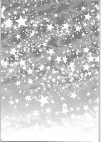 (C88) [nothingfades (Amane Nekoko)] Naisho no Hajimete Kouhen (PriPara)