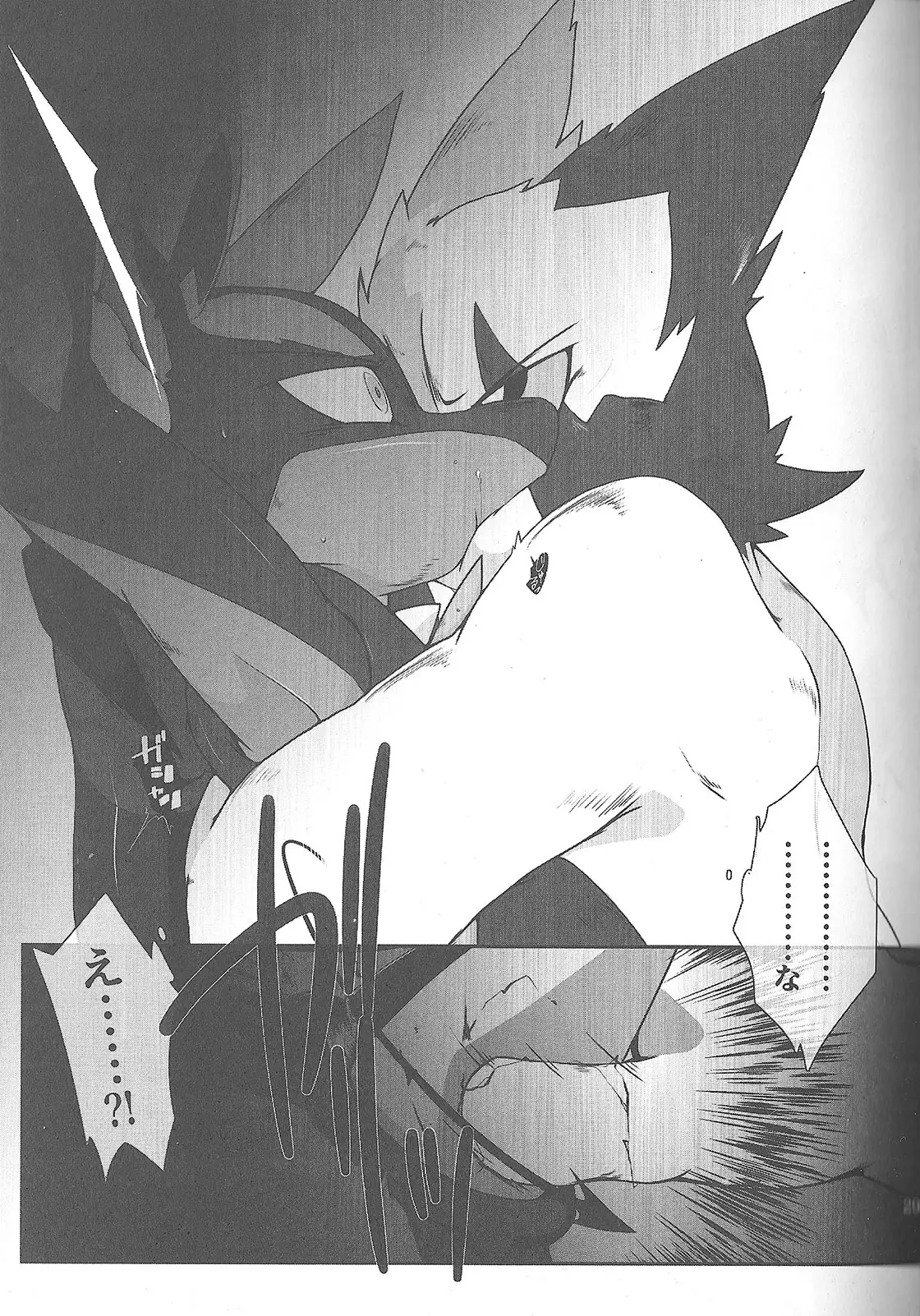 LUCARIO IJIME ANTHOLOGY