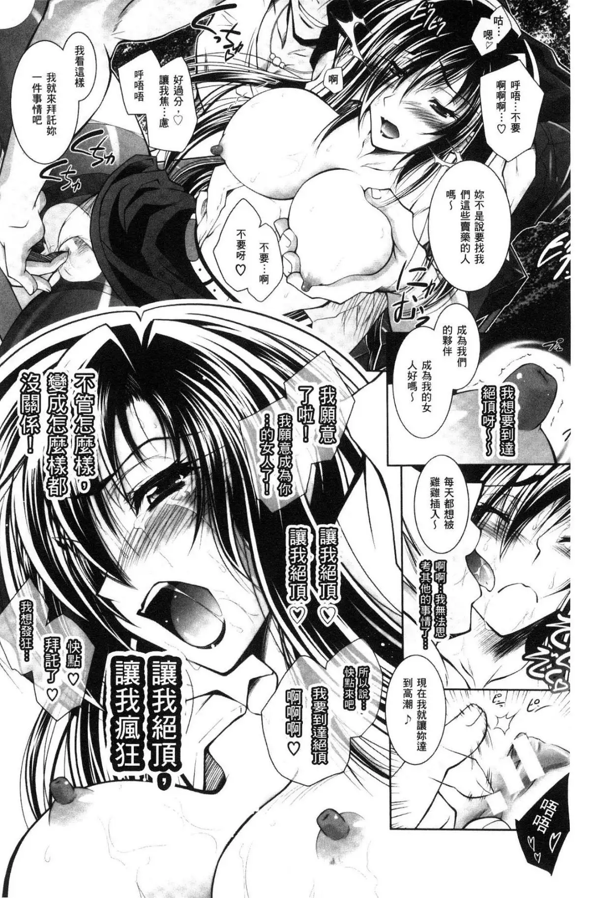 Fallen Justice -Seigi Shittsui-