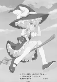 (C77) [Garakuta TEIKOKU (Kou)] Memory of Junk (Touhou Project)