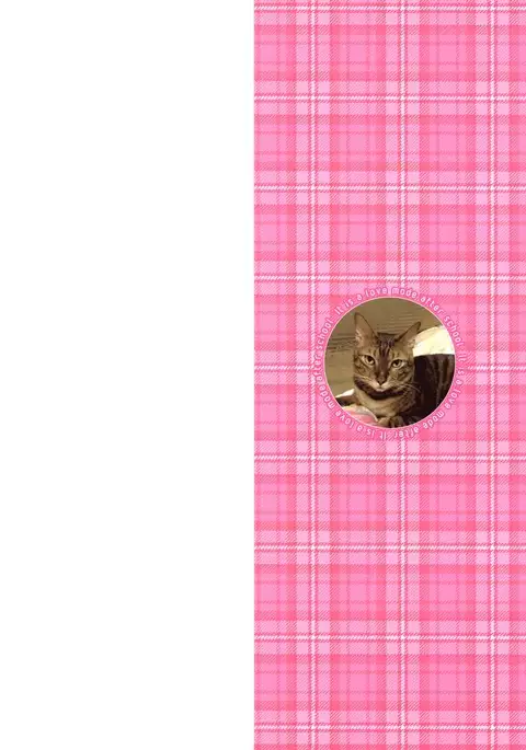 Houkago Love Mode – It is a love mode after school