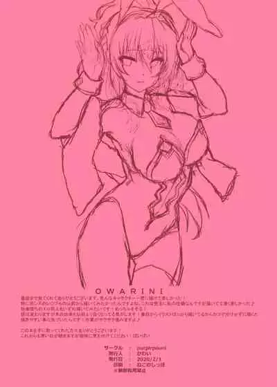 Chaldea Bunny Collection