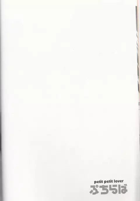 Petit Petit Lover